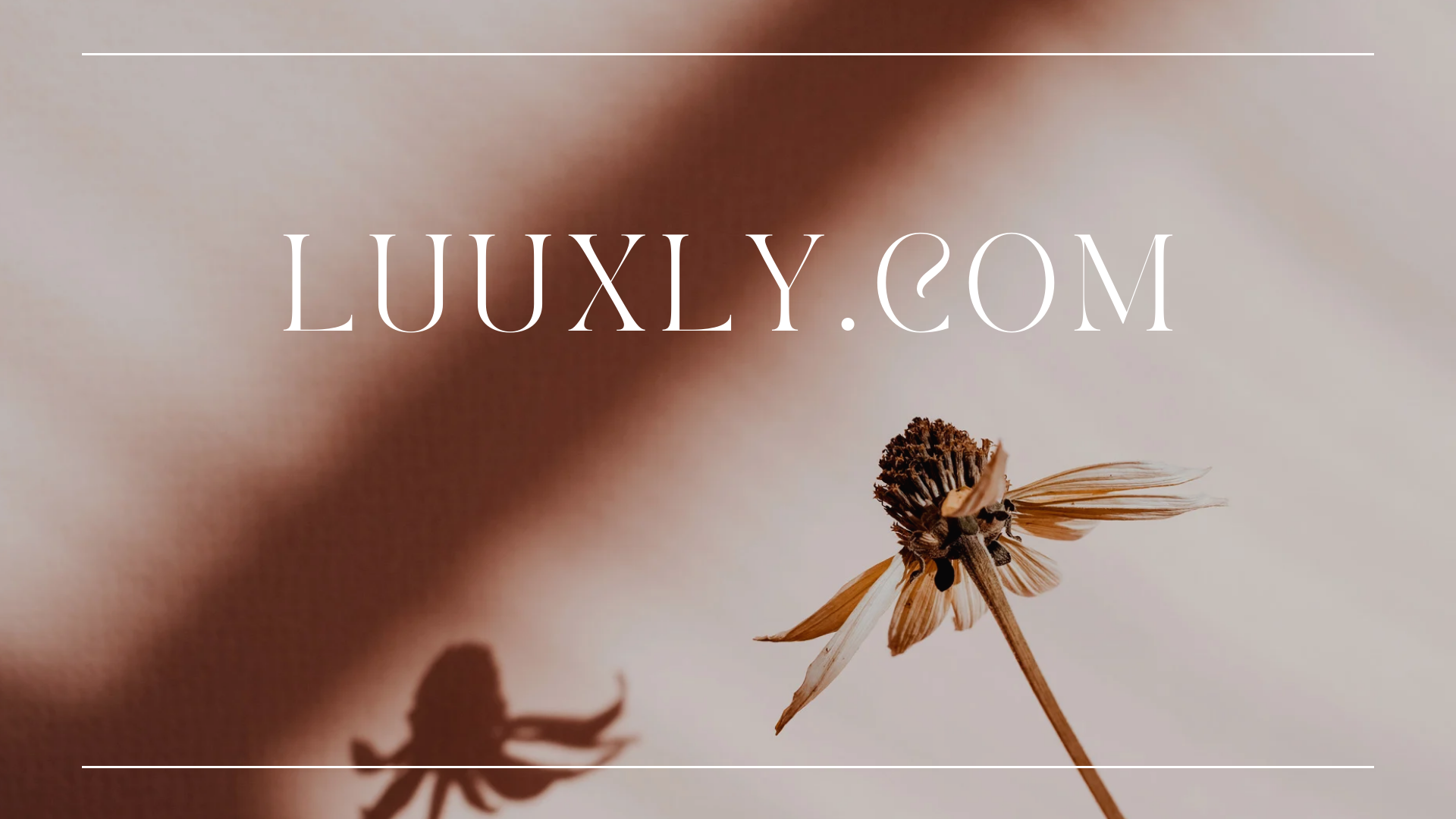 Luuxly.com Redefining Luxury Shopping with Exclusive Offerings